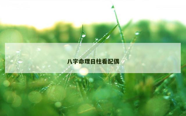 八字命理日柱看配偶