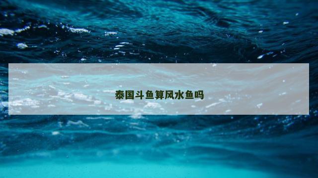 泰国斗鱼算风水鱼吗