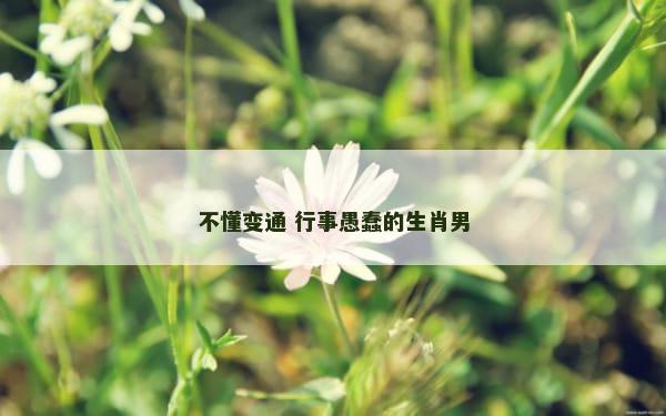 不懂变通 行事愚蠢的生肖男