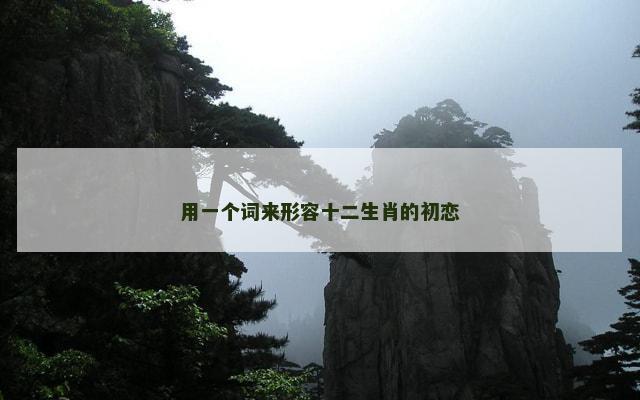 用一个词来形容十二生肖的初恋