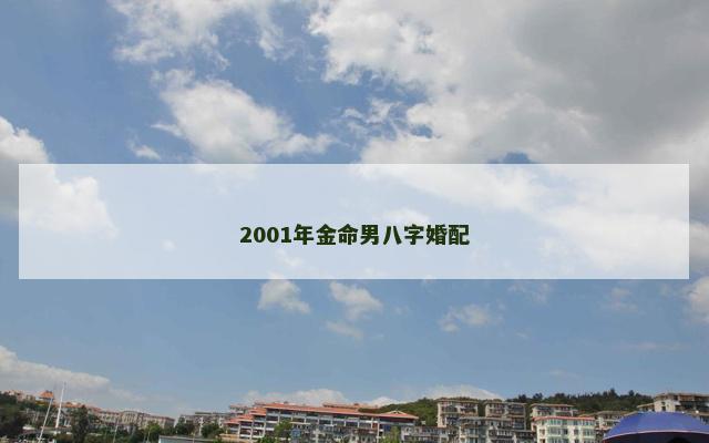 2001年金命男八字婚配