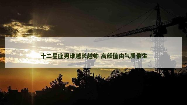 十二星座男谁越长越帅 高颜值由气质催生