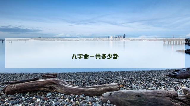 八字命一共多少卦