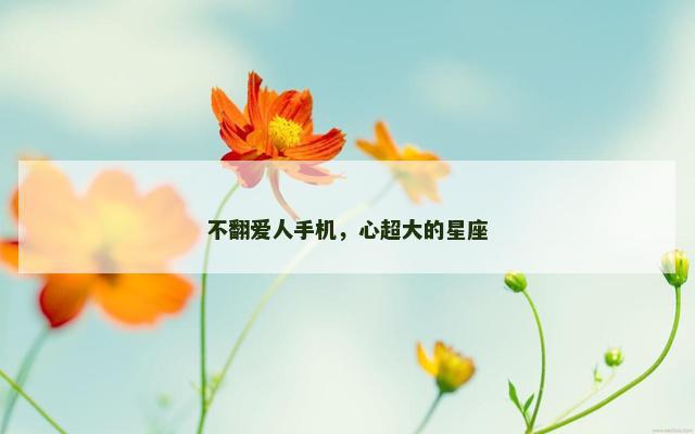 不翻爱人手机，心超大的星座