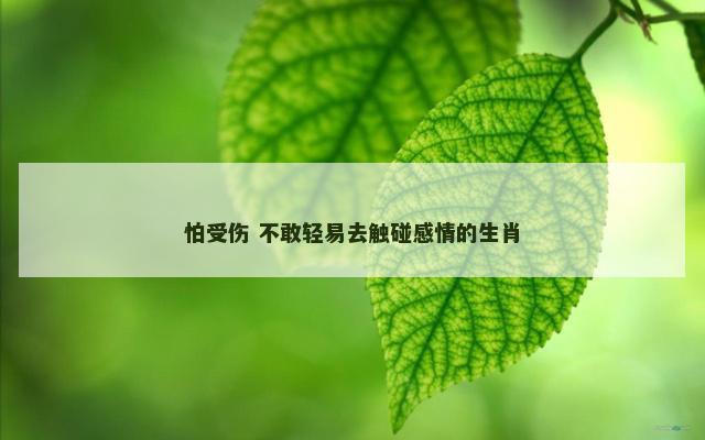 怕受伤 不敢轻易去触碰感情的生肖