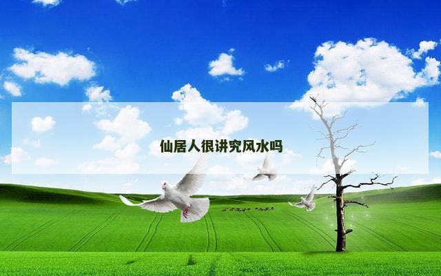 仙居人很讲究风水吗