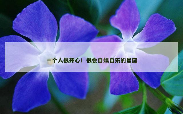 一个人很开心！很会自娱自乐的星座