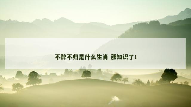 不醉不归是什么生肖 涨知识了！