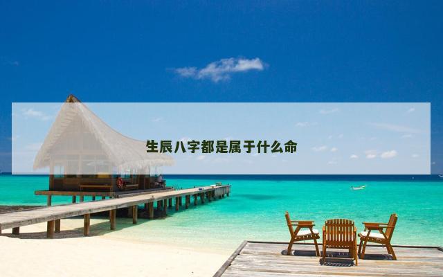 生辰八字都是属于什么命