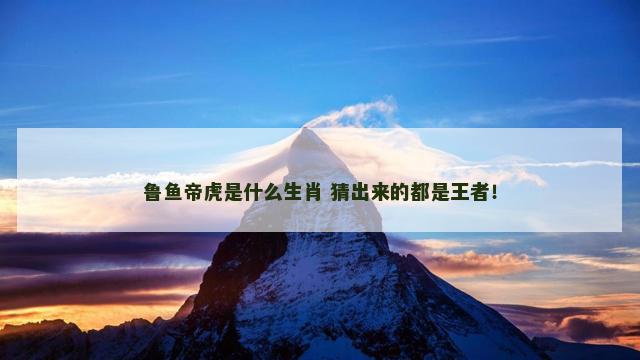 鲁鱼帝虎是什么生肖 猜出来的都是王者！