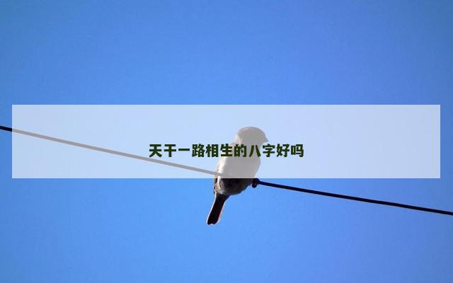 天干一路相生的八字好吗