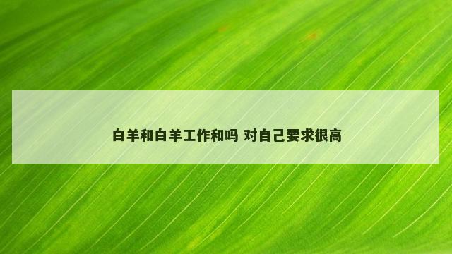 白羊和白羊工作和吗 对自己要求很高