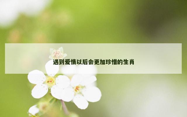 遇到爱情以后会更加珍惜的生肖