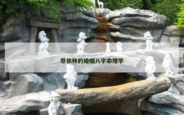 蔡依林的婚姻八字命理学