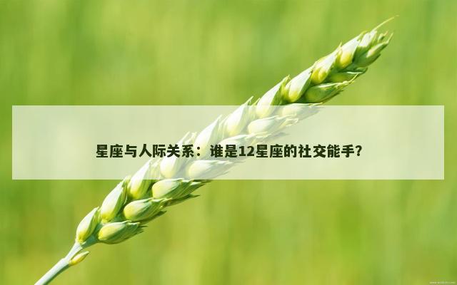 星座与人际关系：谁是12星座的社交能手？