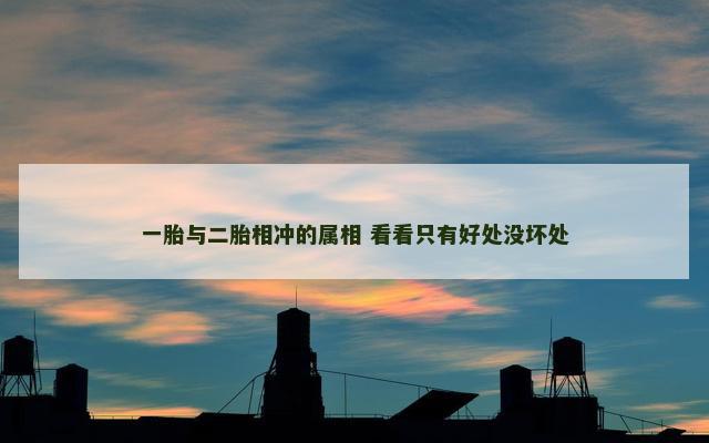 一胎与二胎相冲的属相 看看只有好处没坏处