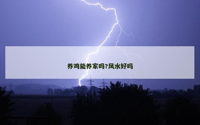 养鸡能养家吗?风水好吗
