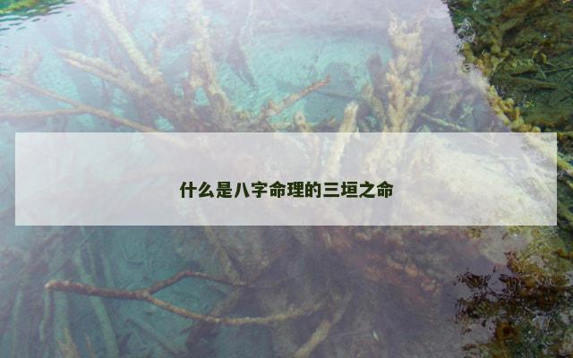 什么是八字命理的三垣之命