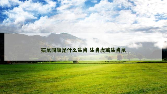 猫鼠同眠是什么生肖 生肖虎或生肖鼠