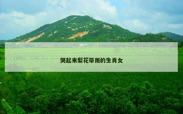 哭起来梨花带雨的生肖女
