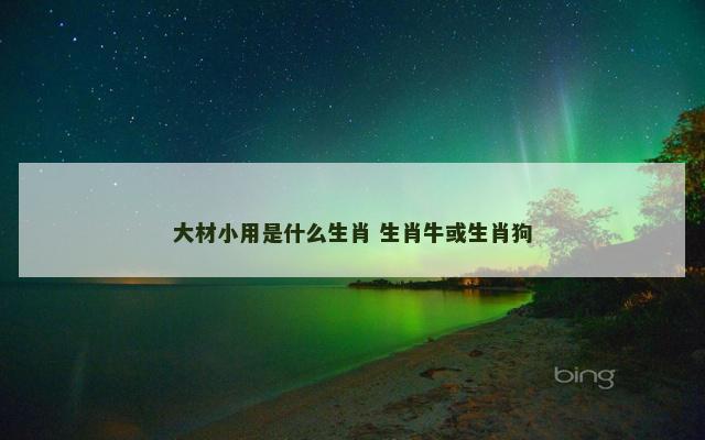 大材小用是什么生肖 生肖牛或生肖狗