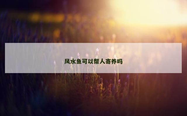 风水鱼可以帮人寄养吗