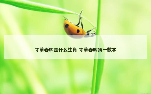 寸草春晖是什么生肖 寸草春晖猜一数字