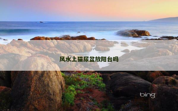 风水上猫尿盆放阳台吗