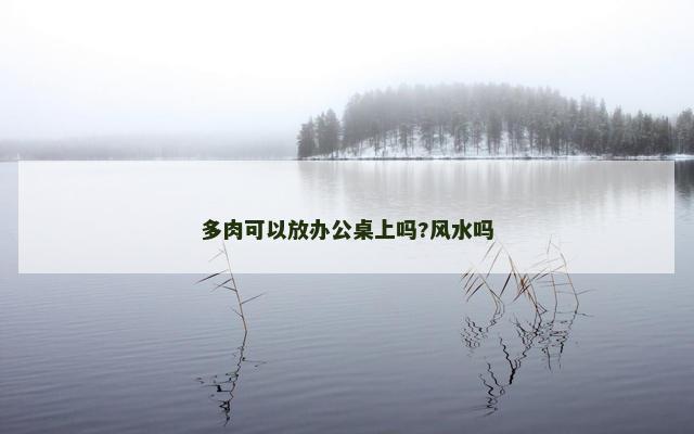 多肉可以放办公桌上吗?风水吗