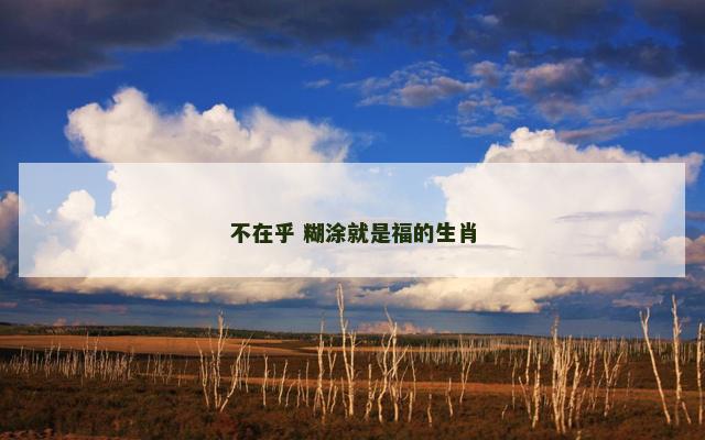 不在乎 糊涂就是福的生肖