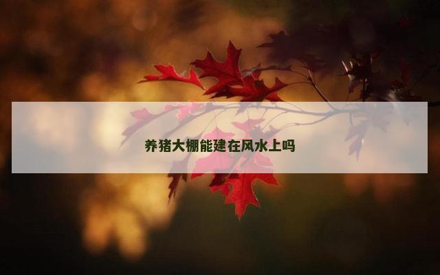 养猪大棚能建在风水上吗