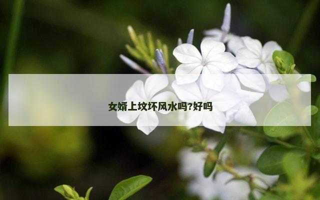 女婿上坟坏风水吗?好吗