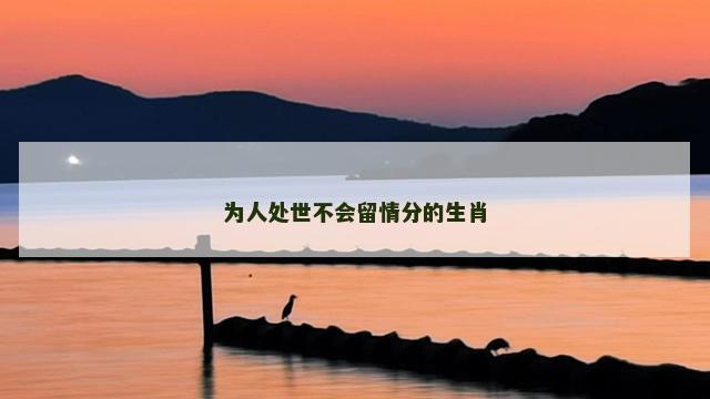 为人处世不会留情分的生肖