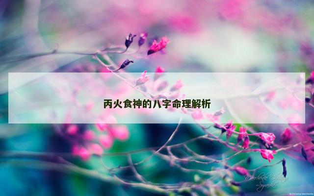 丙火食神的八字命理解析