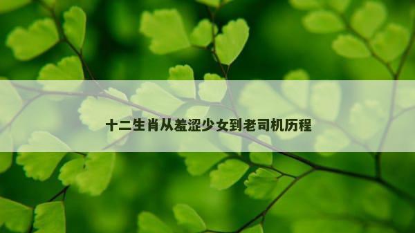 十二生肖从羞涩少女到老司机历程