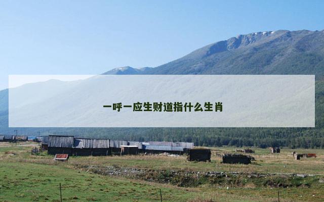 一呼一应生财道指什么生肖
