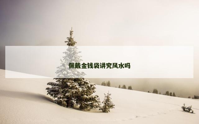 佩戴金钱袋讲究风水吗