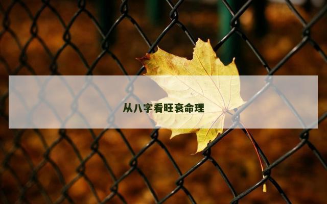 从八字看旺衰命理