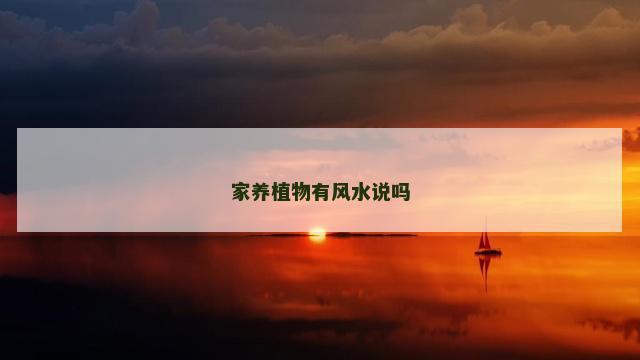 家养植物有风水说吗