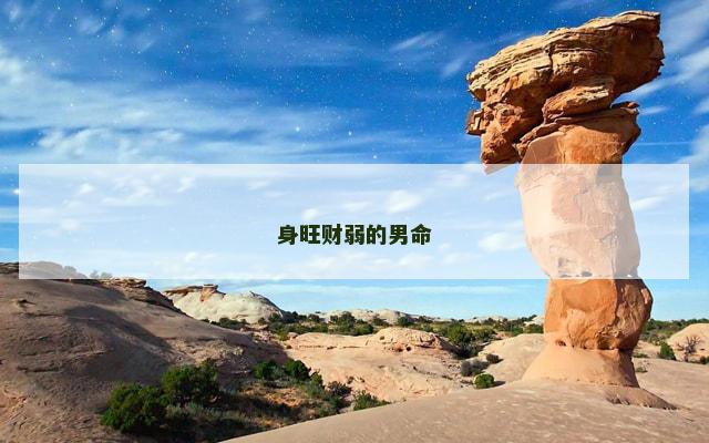 身旺财弱的男命