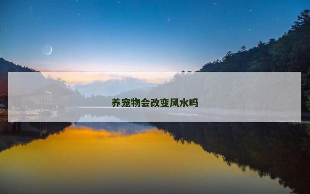养宠物会改变风水吗