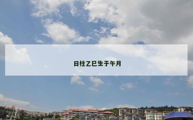 日柱乙巳生于午月