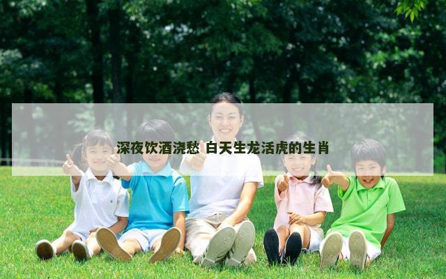 深夜饮酒浇愁 白天生龙活虎的生肖