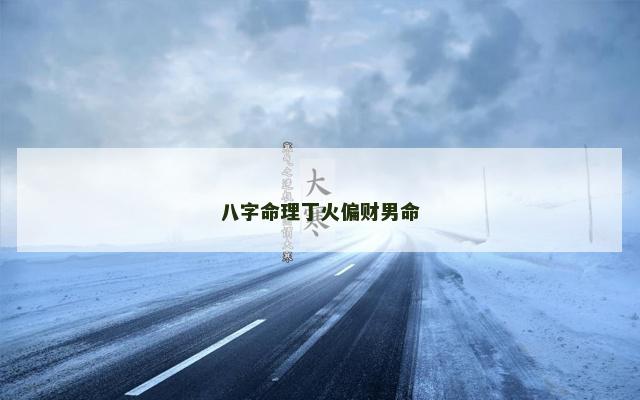 八字命理丁火偏财男命