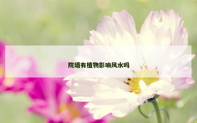 院墙有植物影响风水吗