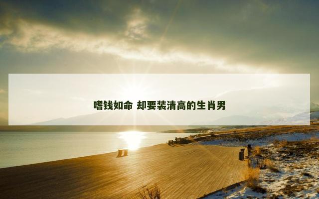 嗜钱如命 却要装清高的生肖男