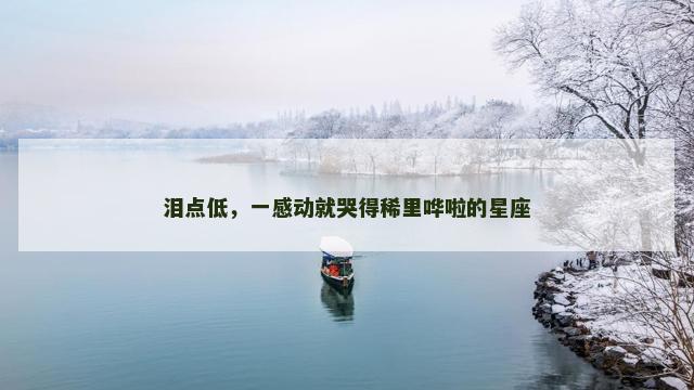 泪点低，一感动就哭得稀里哗啦的星座
