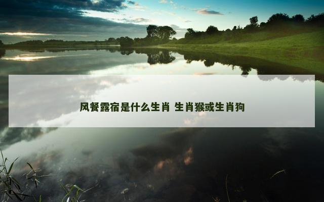 风餐露宿是什么生肖 生肖猴或生肖狗