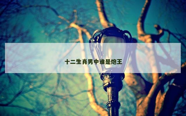 十二生肖男中谁是炮王