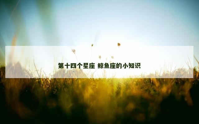第十四个星座 鲸鱼座的小知识